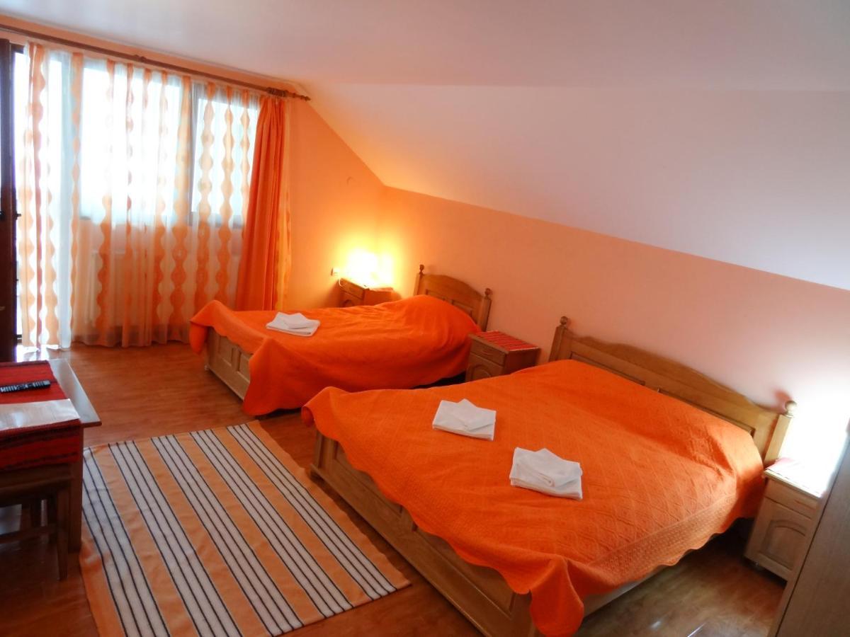 Villa Arnota à Costesti  Extérieur photo