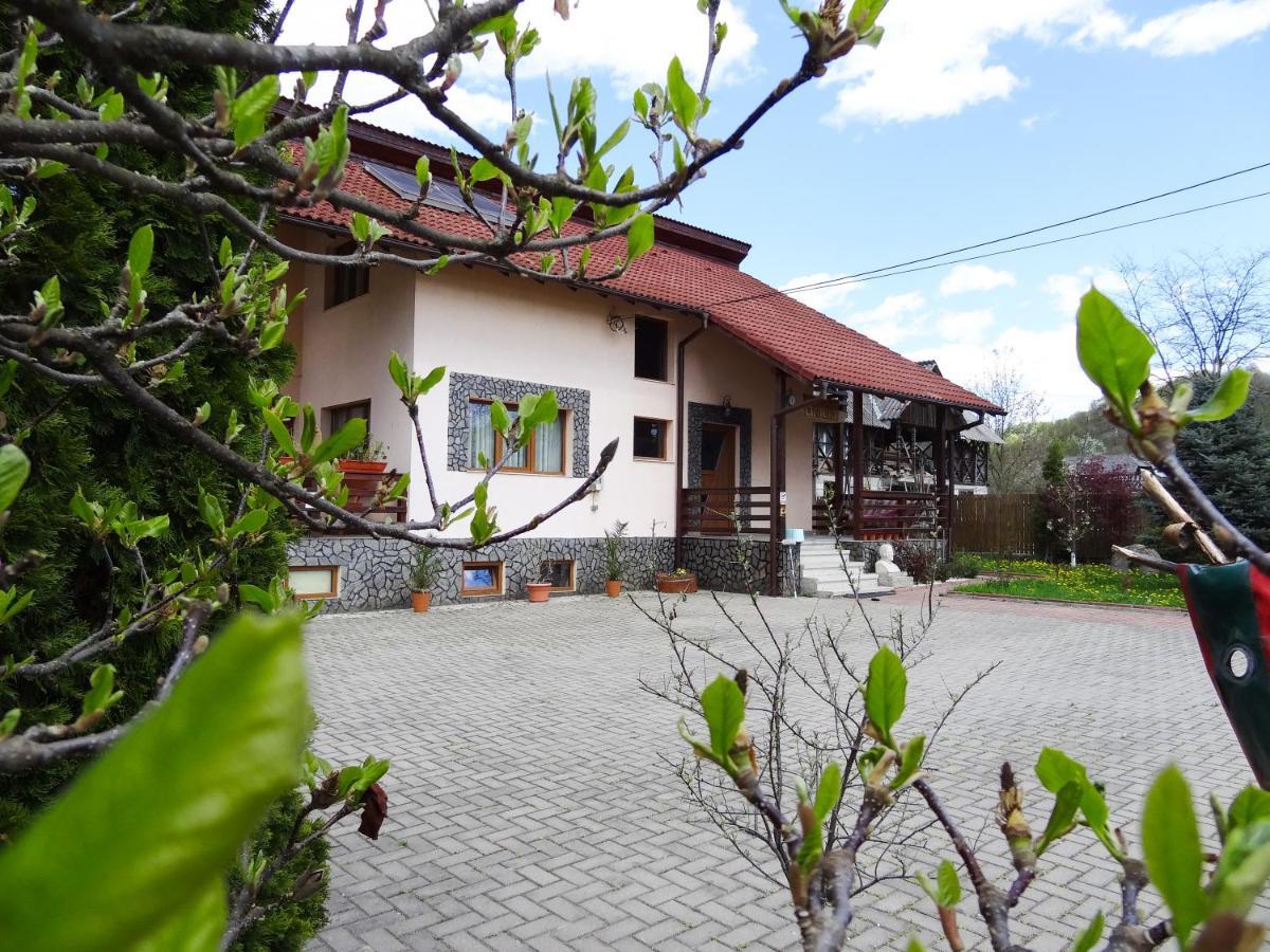 Villa Arnota à Costesti  Extérieur photo