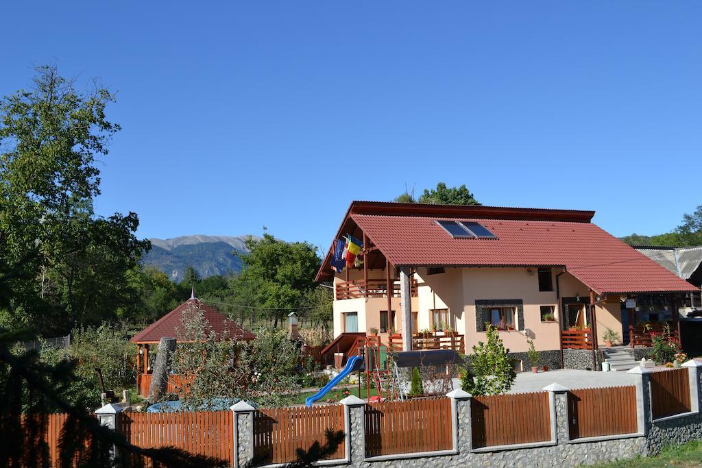 Villa Arnota à Costesti  Extérieur photo